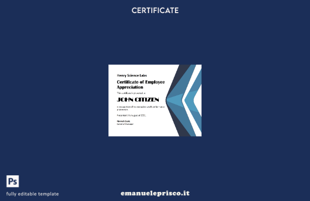 modello di versione del certificato di apprezzamento dei dipendenti USA in stile